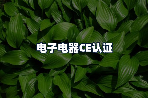 电子电器CE认证